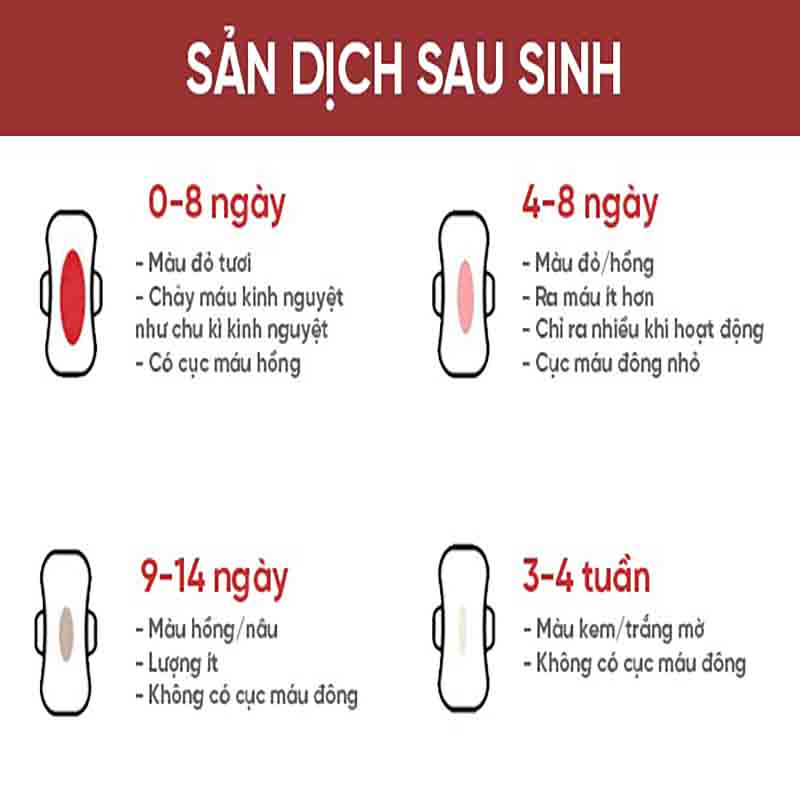 Sinh hoá hoàn
