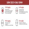 sinh-hoa-hoan - ảnh nhỏ  1